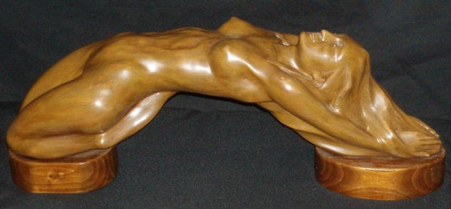 Desnudo femenino (07) Wood Figurative