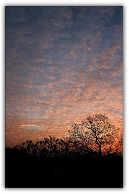 Amanecer 1