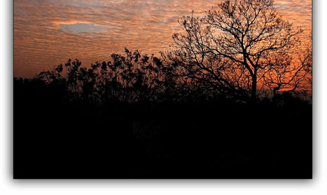 AMANECER