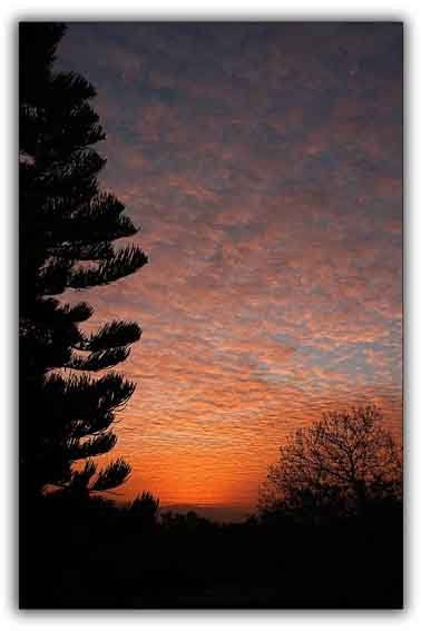 AMANECER DE FUEGO