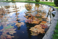 Lago