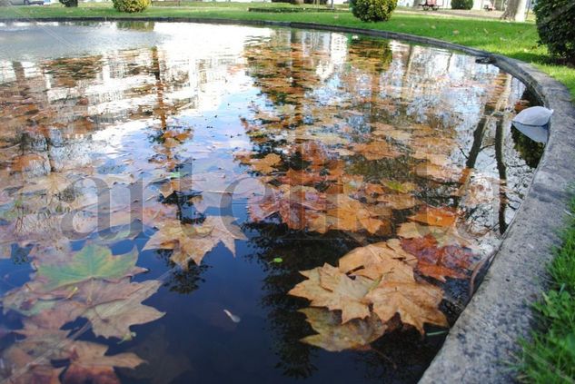 Lago 