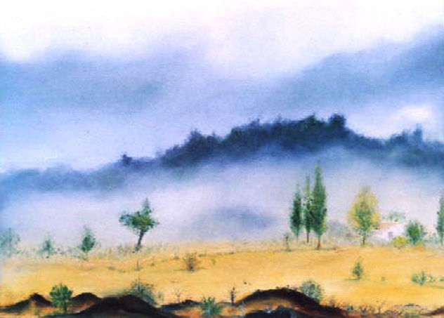 NIEBLA EN LA ESTANCIA