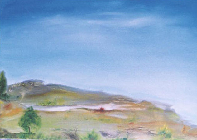 VISTA PATAGONICA