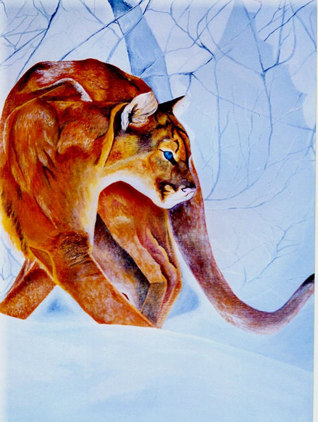 El puma