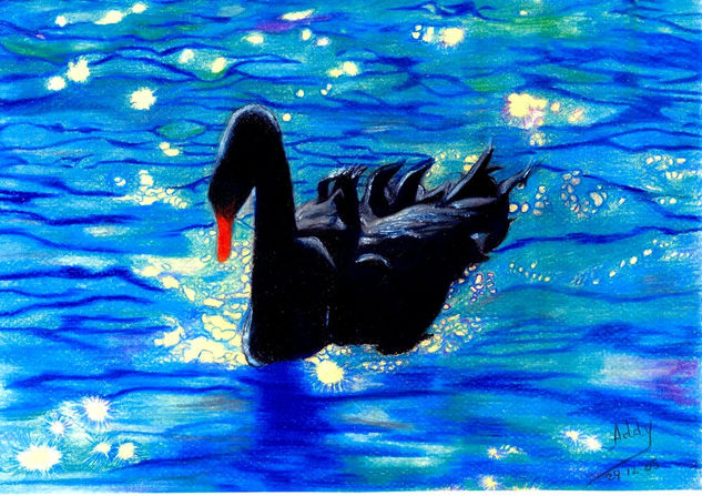 Cisne negro Pencil (coloured) Card Animals