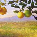 PAISAJES y FLORES thumbnail 1