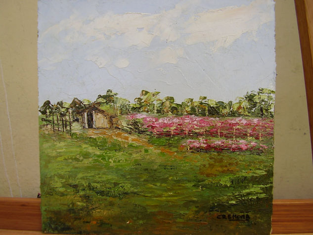 Paisaje de Paraguay Oil Canvas Landscaping