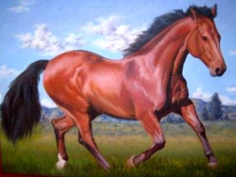 caballo Trueno de la Pradera