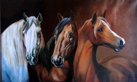 Caballos