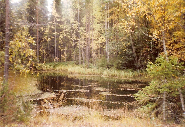 lac de cygne Naturaleza Color (Química)