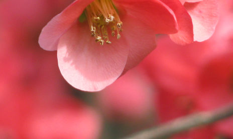 naturaleza