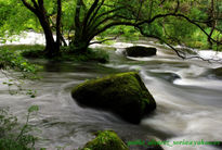 Rocas en chelo 3