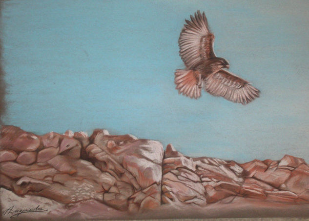 vuelo en el desierto Pastel Paper Landscaping