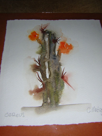 Cactus en flor