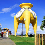 2008 thumbnail 1