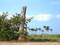 La puerta del paraiso