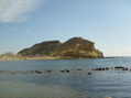 aguilas