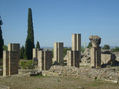 italica