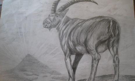 DIBUJO LAPIZ