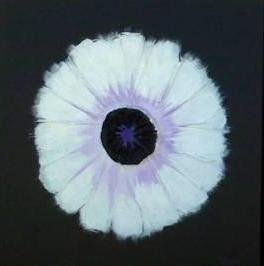 Margarita blanca