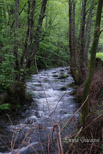 Valle del silencio