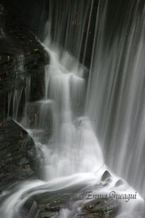 Agua de algodon