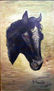 CAVALL