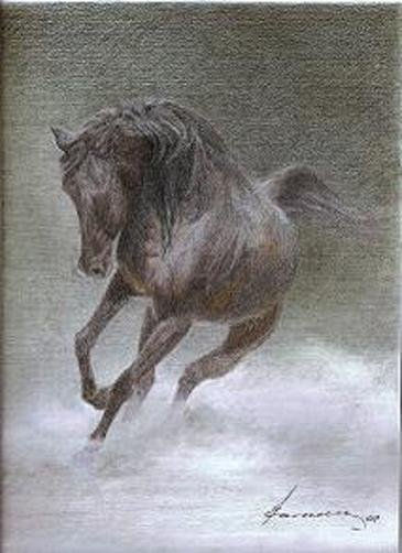 Zaino