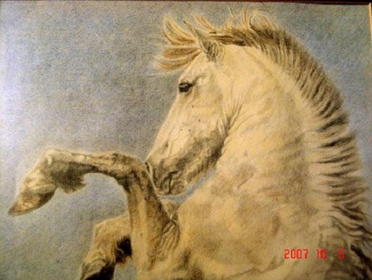 Camargue Charcoal