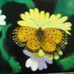 FAUNIA thumbnail 2