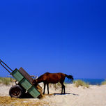 Albania 1999 thumbnail 1