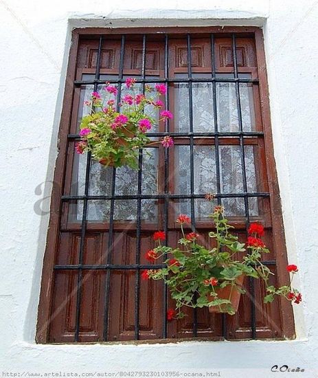 Ventana Axárquica Otras temáticas Color (Digital)