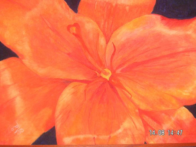 Lilium naranja Oil Canvas