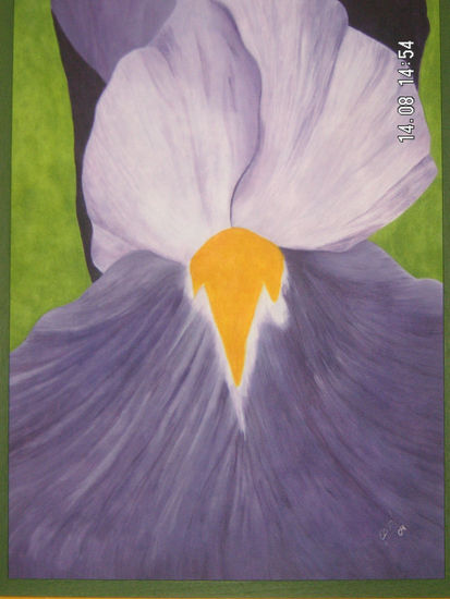 iris morado Oil Canvas