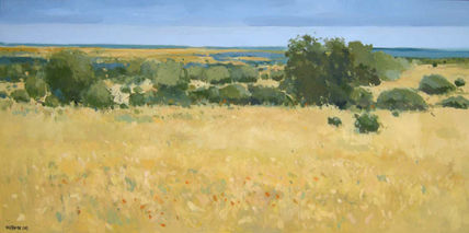 Paisaje de encinas