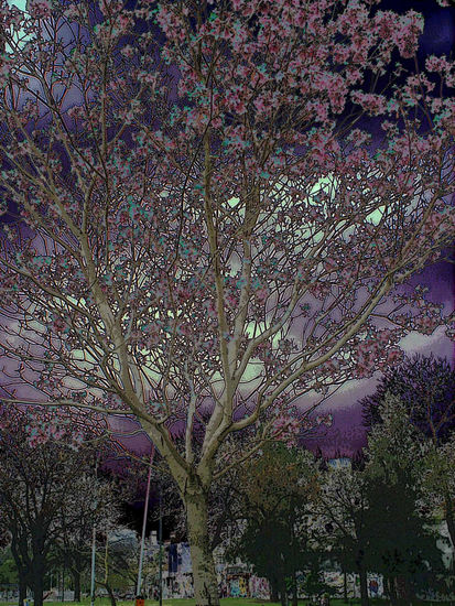 Arbol 4 Nature Color (Digital)