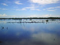 REFLEJO
