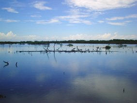 Reflejo