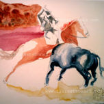 TAUROMAQUIA thumbnail 1
