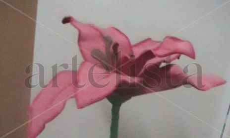 flores de fomy