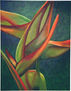 heliconia I