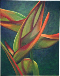 heliconia I