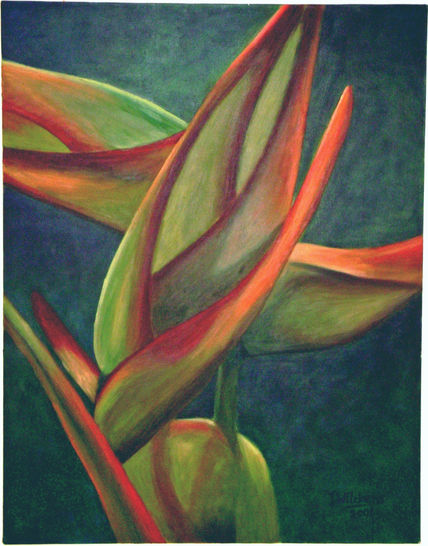 heliconia I