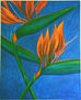 heliconia II
