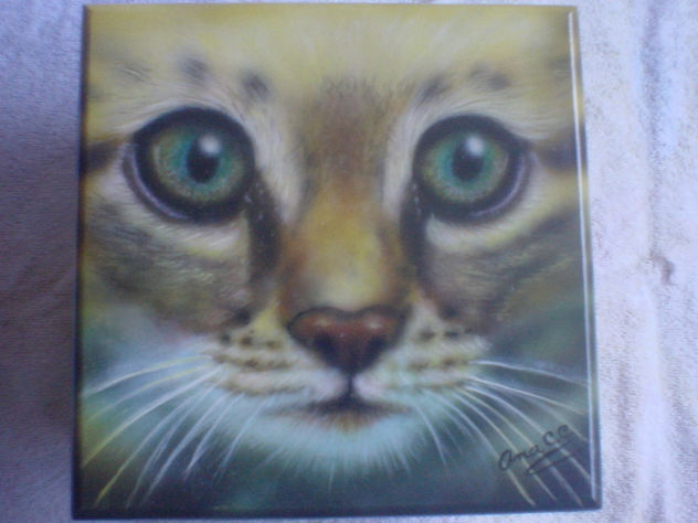 FELINO