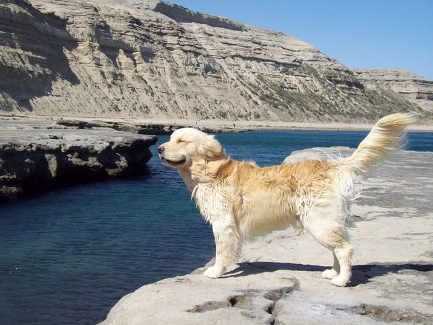 Viento de Libertad 