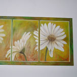 FLORES thumbnail 1