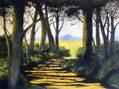 Sombras no caminho