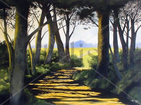 Sombras no caminho